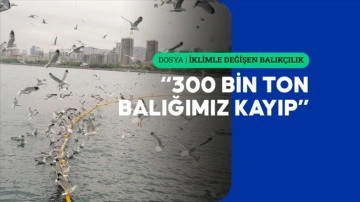 Ekosistem esaslı balıkçılık olmazsa hamsi ve istavrit tükenebilir