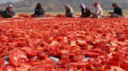 Elazığ'ın kurutulmuş domatesi Avrupa mutfağında
