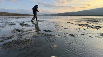 Elazığ'da menfezdeki su birikintisinde mahsur kalan binlerce yavru balık kurtarıldı