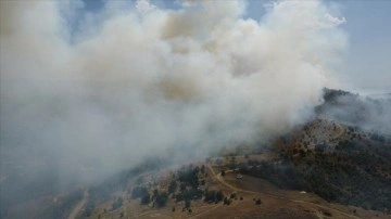 Elazığ'da ormanlık alanda çıkan yangına müdahale ediliyor