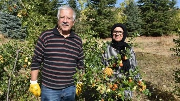 Emekli öğretmen çift, hünnap üretimini yaygınlaştırmaya çalışıyor