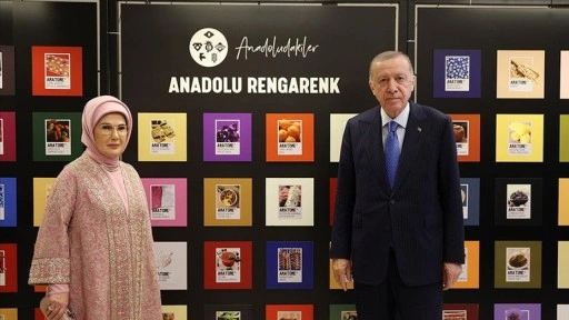 Emine Erdoğan: 15. Büyükelçiler Konferansı'nın hayırlı olmasını diliyorum