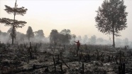Endonezya'da 8 ayda 330 bin hektar orman kül oldu