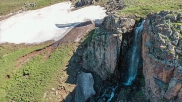 Eriyen kar suları Iğdır'daki Uğruca Şelalesi'ne can kattı