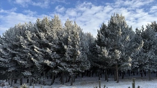 Erzurum, Ardahan, Ağrı ile Kars'ta kırağı ve buzlanmalar oluştu