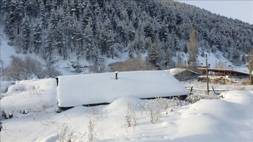 Erzurum, Ardahan ve Tunceli'de 448 köy ve mahalle yolu ulaşıma kapandı