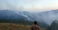 Erzurum’da 40 hektar ormanlık alan yandı