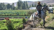 Erzurum&#039;da devlet desteğiyle artan sebze üretimi Doğu&#039;daki sofralara lezzet katıyor