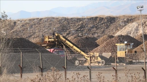 Erzurum'da şeker pancarının ekim alanı 5 yılda yüzde 35 arttı