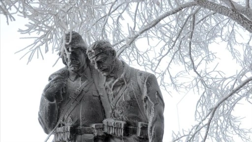 Erzurum, Kars ile Ardahan'da yoğun sis ve kırağı etkili oldu