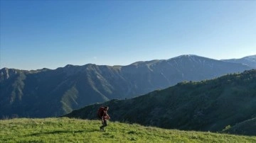 Erzurum-Rize sınırındaki zirveler doğaseverleri bekliyor