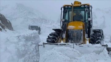 Erzurum'da kar ve tipi hayatı olumsuz etkiliyor