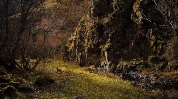 Erzurum'daki Karanlıkdere Kanyonu, doğal güzelliğiyle dağcıların rotasında