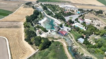 Eskişehir'de Sakarya Nehri'nin kaynaklarından "Sakaryabaşı" kuruma noktasına gel
