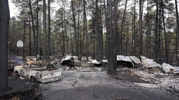 FBI, New Mexico'daki orman yangınının sorumluluları hakkında bilgi verene para ödülü vadetti