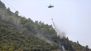 Fethiye'de ormanlık alanda çıkan söndürüldü