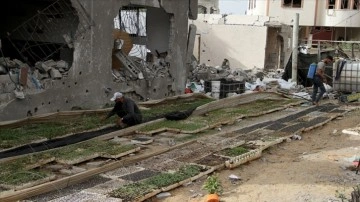 Filistinli uzmana göre İsrail saldırıları nedeniyle Gazze Şeridi'nde tarım ve hayvancılık bitti
