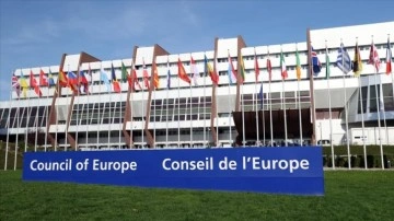 Fransa'daki Türkler terör örgütünün Avrupa Konseyi önündeki varlığından rahatsız