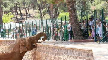 Gaziantep Doğal Yaşam Parkı 62 bin ziyaretçiyi ağırladı