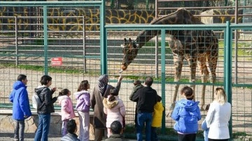 Gaziantep Hayvanat Bahçesi'nin hedefi 6 milyon ziyaretçi