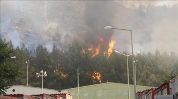 Gaziantep'te ormanlık alanda çıkarak barınma merkezine sıçrayan yangına müdahale ediliyor