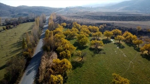 Iğdır'daki Üçkaya Vadisi sonbahar renklerine büründü