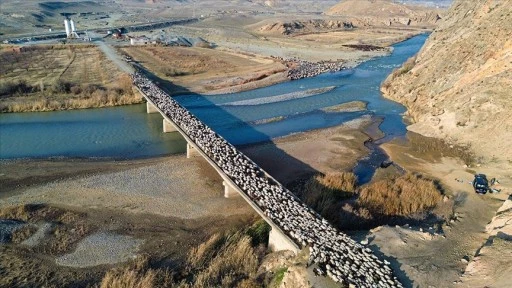 Iğdırlı göçerler, Kars, Ardahan ve Ağrı'nın yaylalarından zorlu yolculukla dönüyor