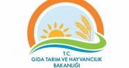 Gıda, Tarım ve Hayvancılık Bakanlığı hileli gıda ve işletmeleri açıkladı