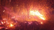 Göksu Deltası'ndaki yangın kendiliğinden söndü