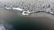 Gölcük Tabiat Parkı'ndaki göl buz tuttu