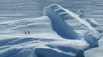 Güney ile Kuzey kutupları arasındaki asimetrik erime iklim değişikliğiyle bağlantılı