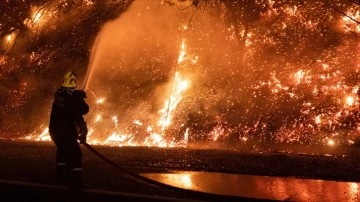 Güney Kore'deki orman yangınında 216 bina kullanılamaz hale geldi