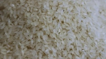 Güney Kore'den, Afrika ülkelerinde gıda güvencesi için "K-Pirinç kuşağı" projesi