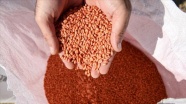 Güneydoğu'daki üreticiye faizsiz tohum ve gübre desteği