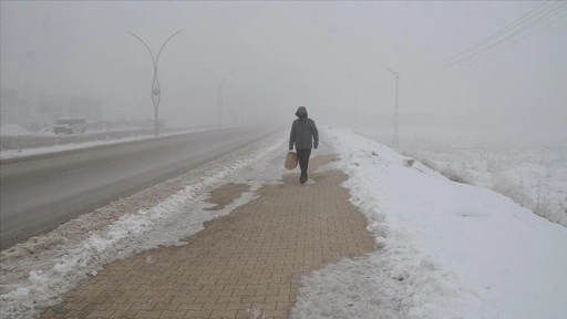 Hakkari'de soğuk hava ve sis etkili oldu