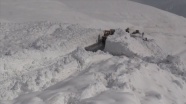 Hakkari-Şırnak kara yolu çığ nedeniyle kapandı