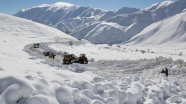 Hakkari-Şırnak karayolu ulaşıma kapandı