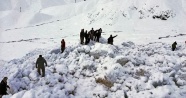 Hakkari-Şırnak yolu ulaşımına çığ engeli