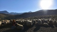 Hakkari yaylalarında göçerlerin dönüş hazırlığı başladı