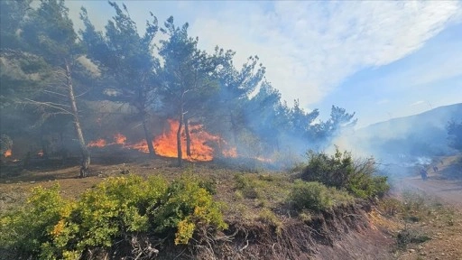 Hatay'da çıkan orman yangını söndürülmeye çalışılıyor