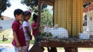 Hatay&#039;da öğretmenler anaokuluna mini hayvanat bahçesi kurdu