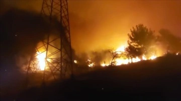 Hatay'da ormanlık alanda yangın çıktı