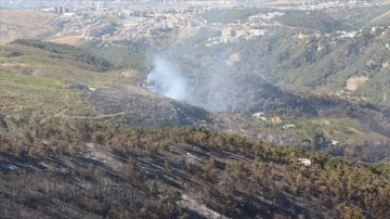 Hatay'ın Belen ilçesindeki orman yangını kontrol altına alındı