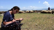 Hayvanlarını Muş Ovası'nda otlatan kız kardeşler derslerini EBA'dan takip ediyor