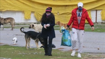 Hayvansever çift ormana terk edilen köpeklerin bakımını üstlendi