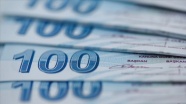 Hazine 10,7 milyar lira borçlandı