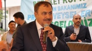 'HDP ile ikiz kardeşler'