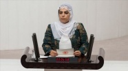 HDP'li Remziye Tosun'un teröristlerin tedavisine yardım ettiği iddiası gerekçeli kararda