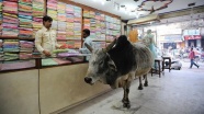 Hindistan'da inek kestiği iddia edilen Müslüman linç edildi