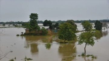Hindistan'da aşırı yağışların yol açtığı sellerde hayatını kaybedenlerin sayısı 48'e yükse